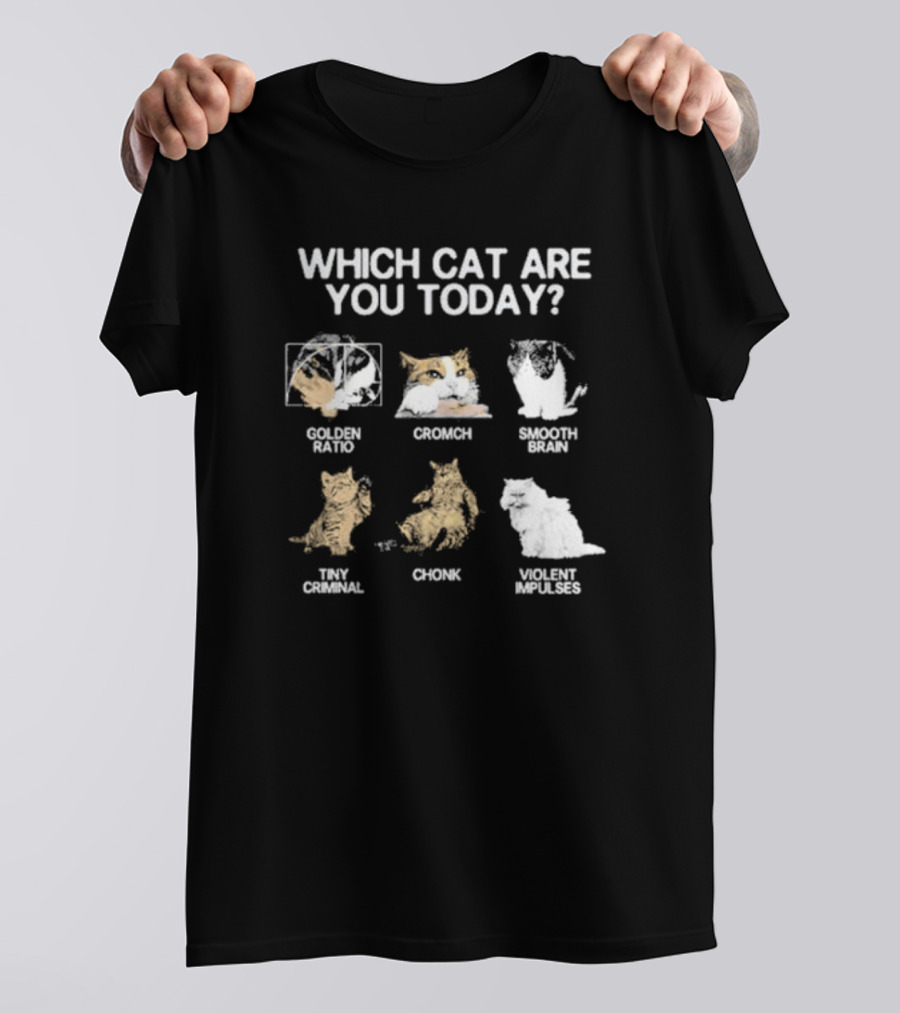 Which Cat Are You Today Golden Ratio Cromch Smooth Brain Tiny Criminal Chonk Violent Impulses T-Shirt