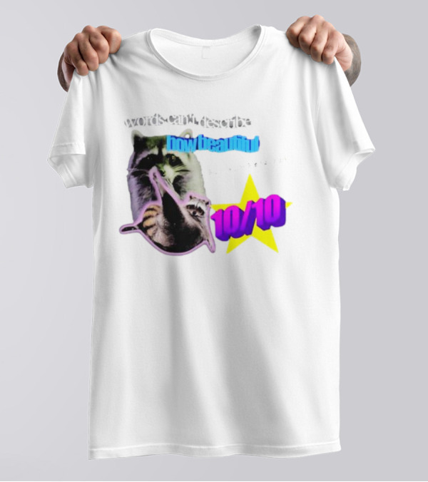 Words Can't Describe How Beautiful I Am But Numbers Can 10/10 Raccoon Star T-Shirt