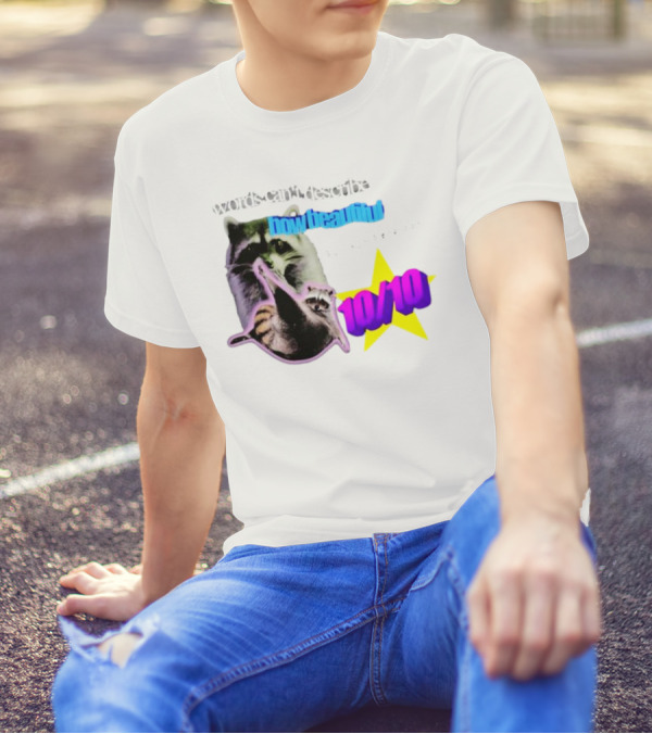 Words Can't Describe How Beautiful I Am But Numbers Can 10/10 Raccoon Star T-Shirt
