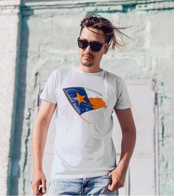 Houston Texas Lone Star Flag T-Shirt