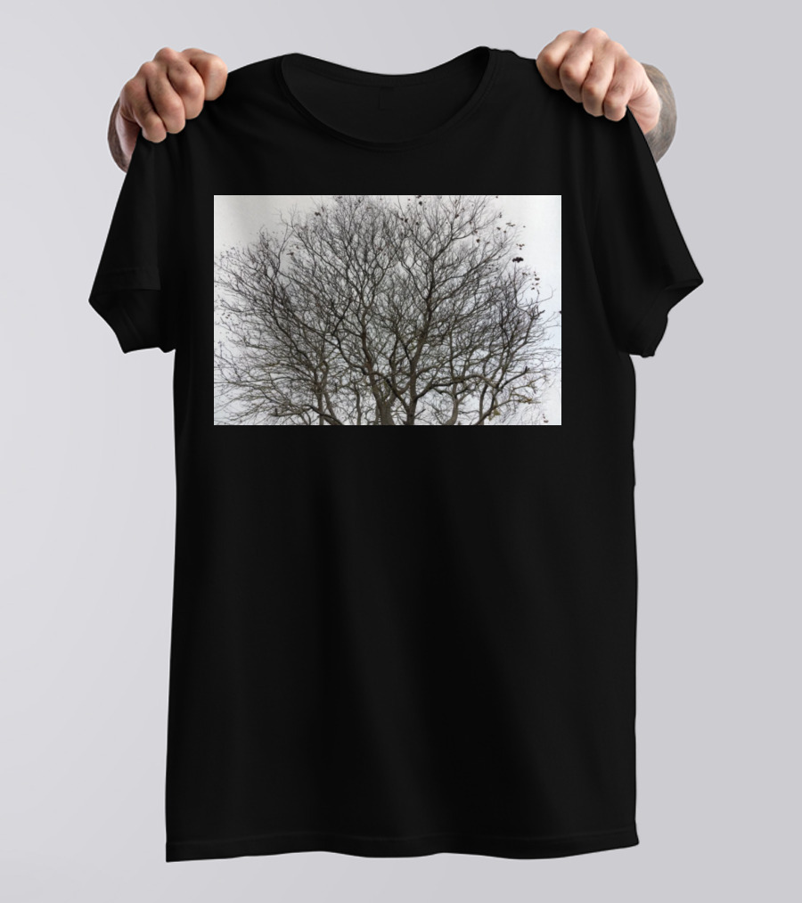 Winters Tracery Bare Tree Branches In Overcast Grey Sky T-Shirt