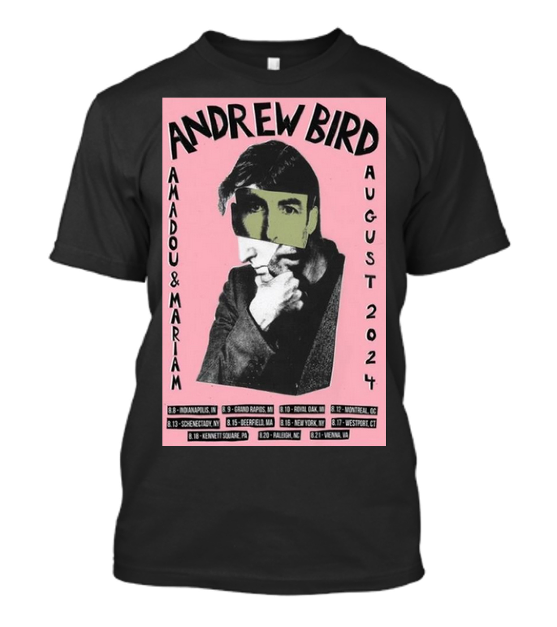 Andrew Bird And Amadou And Mariam August 2024 Tour Poster Indianapolis Grand Rapids Royal Oak Montreal Schenectady Deerfield New York Westport Kennett Square Raleigh Vienna T-Shirt