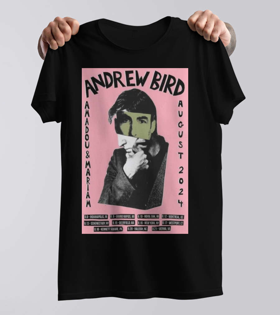 Andrew Bird And Amadou And Mariam August 2024 Tour Poster Indianapolis Grand Rapids Royal Oak Montreal Schenectady Deerfield New York Westport Kennett Square Raleigh Vienna T-Shirt