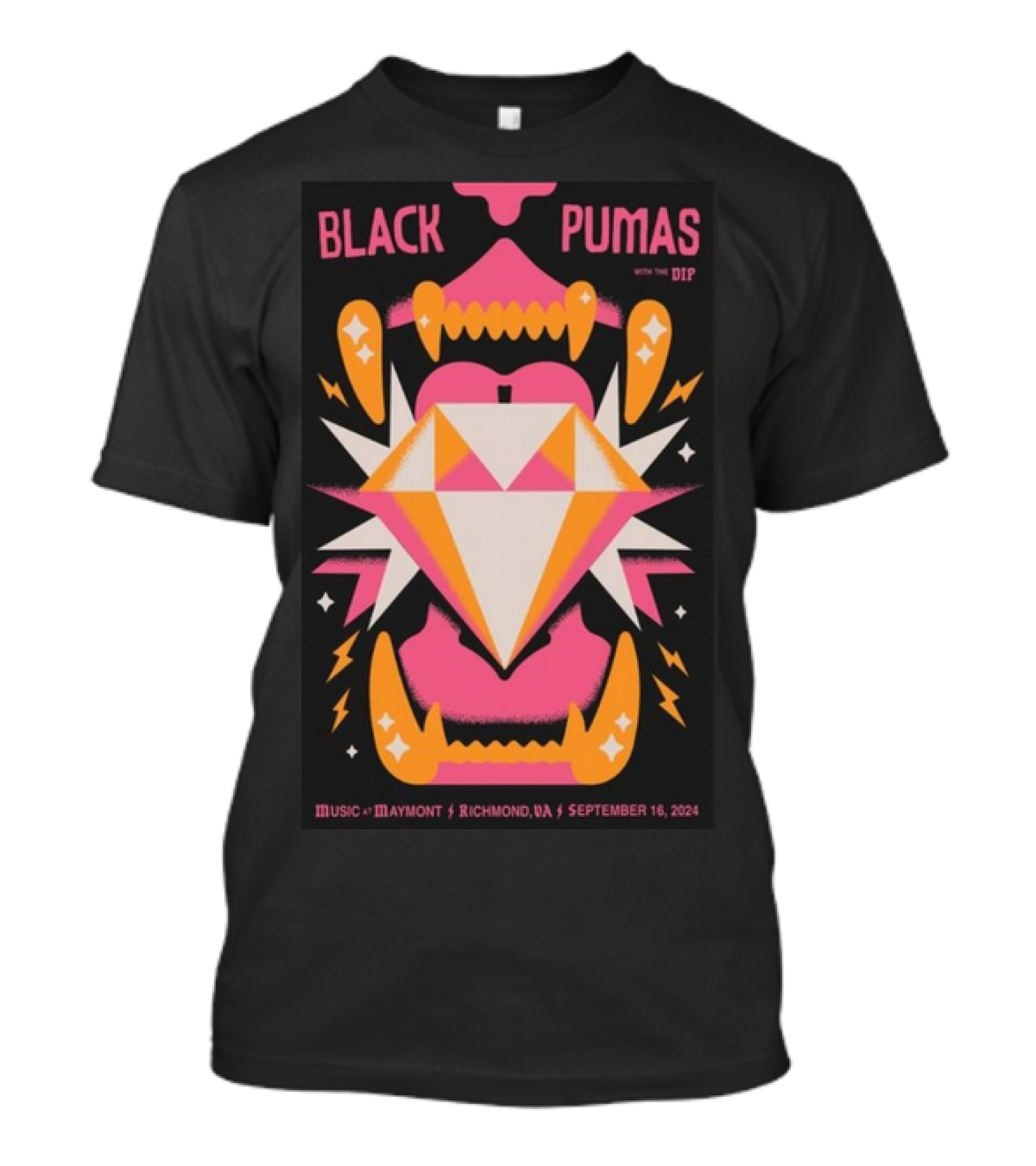 Black Pumas With The Dip Music At Maymont Richmond VA September 16 T-Shirt