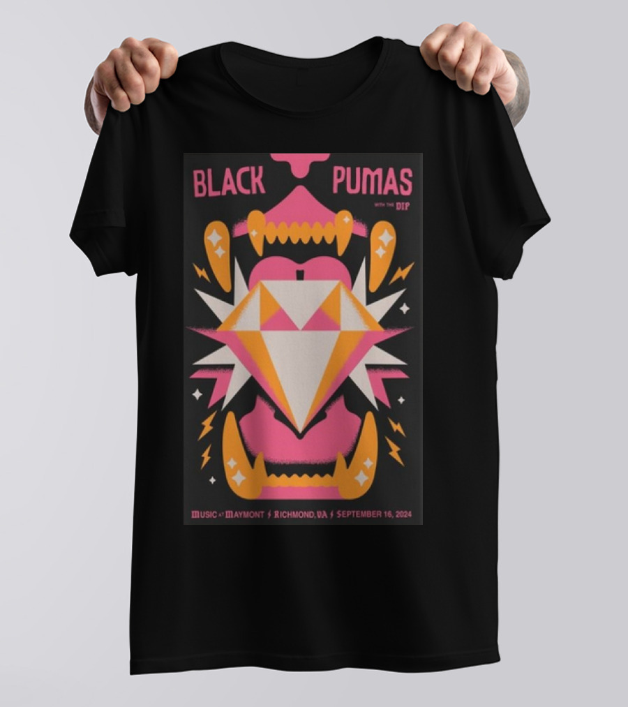 Black Pumas With The Dip Music At Maymont Richmond VA September 16 T-Shirt
