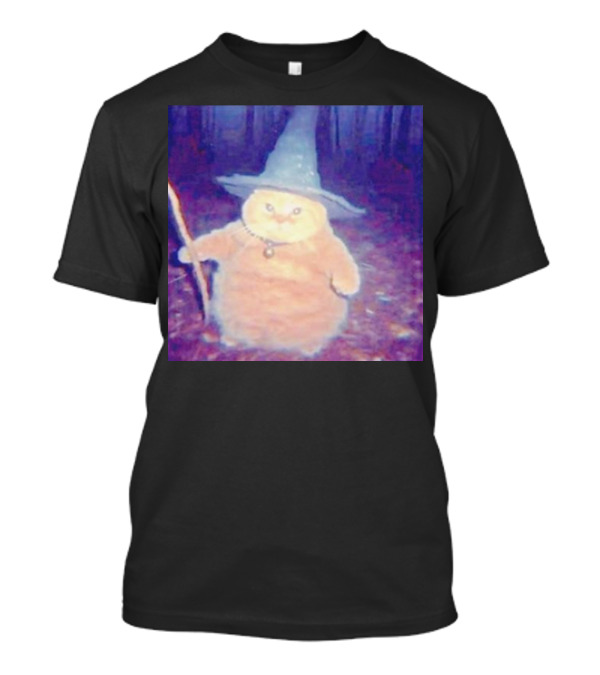 Cat Cheeseball Wizard Meme With Hat And Staff In Woods T-Shirt