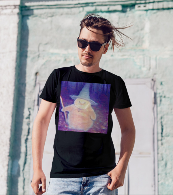 Cat Cheeseball Wizard Meme With Hat And Staff In Woods T-Shirt