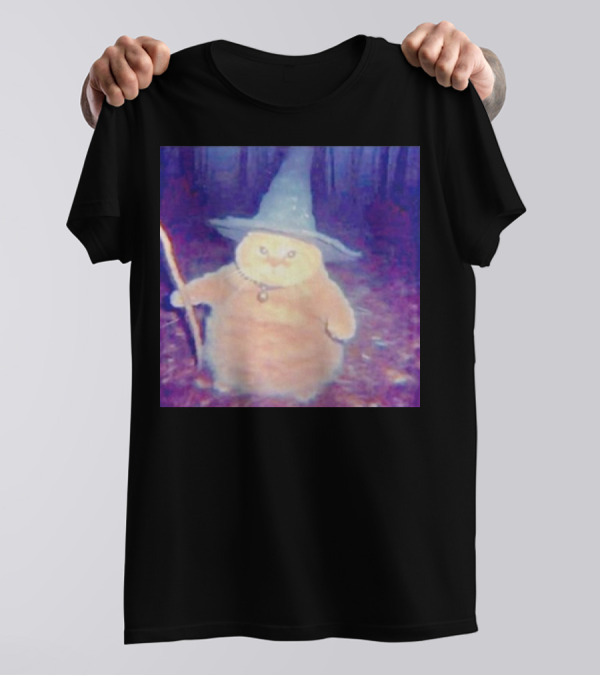 Cat Cheeseball Wizard Meme With Hat And Staff In Woods T-Shirt