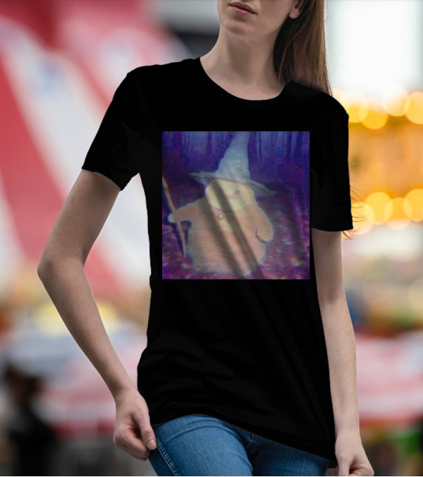 Cat Cheeseball Wizard Meme With Hat And Staff In Woods T-Shirt