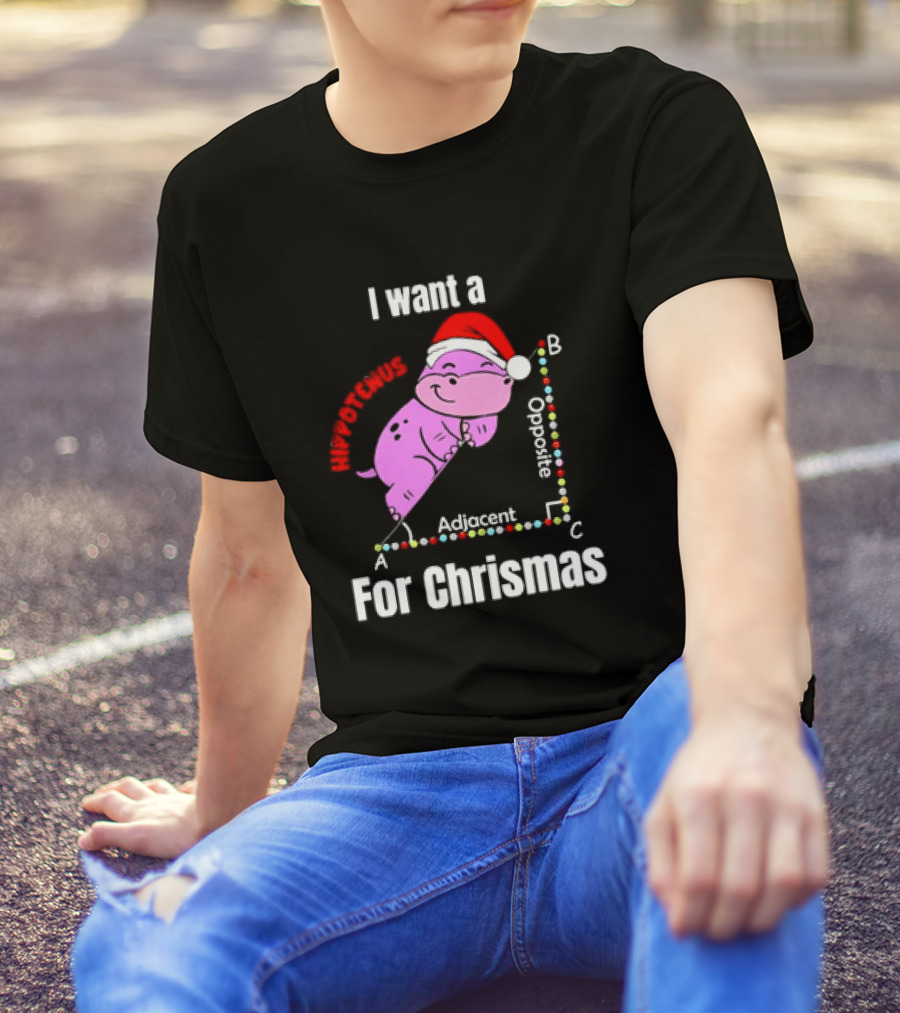I Want A Hippotenuse ABC Adjacent Opposite For Christmas Cute Hippo T-Shirt