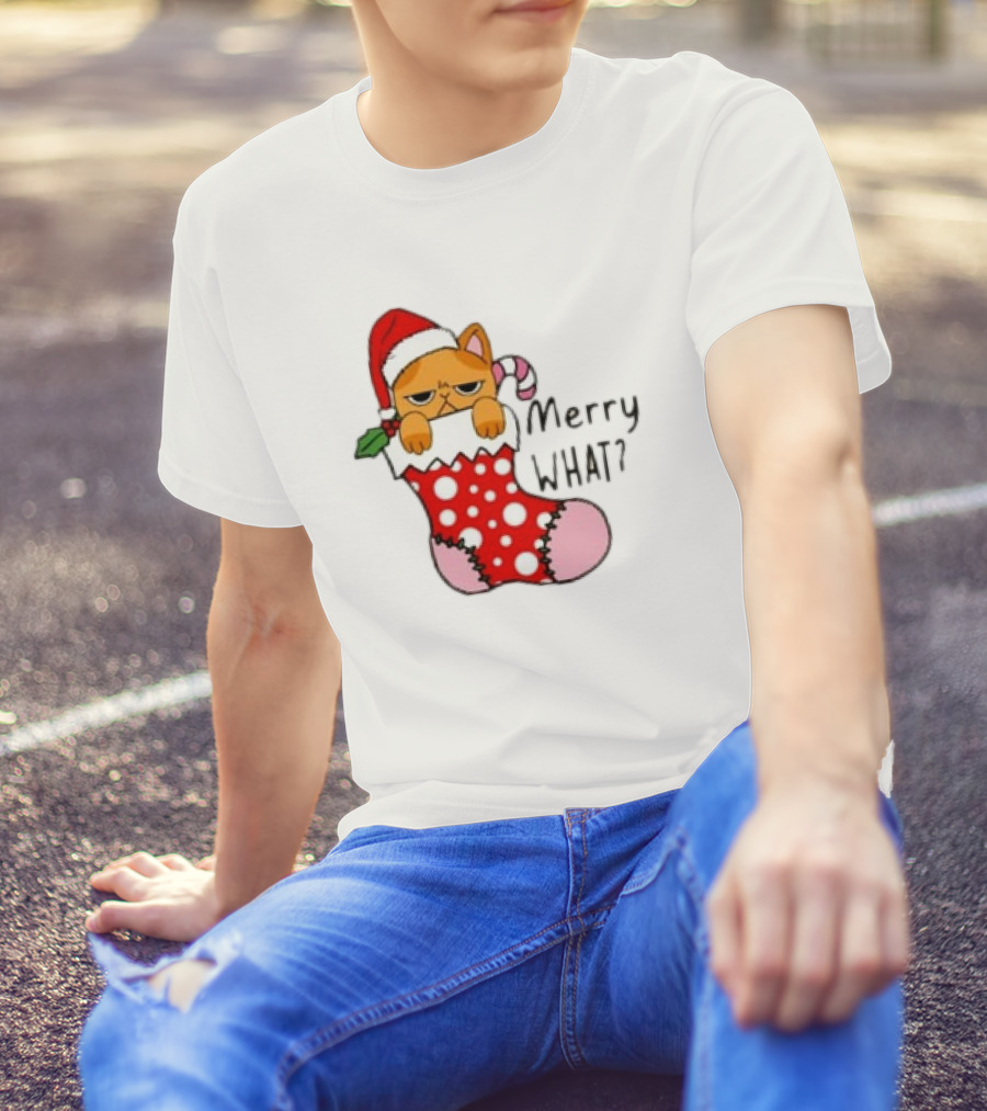 Merry What Cat In Santa Hat Christmas Stocking T-Shirt