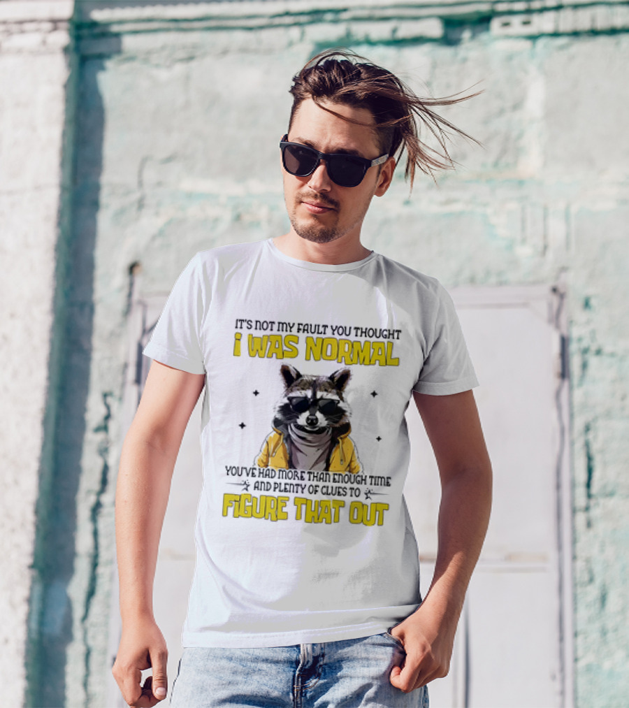 Raccoon It's Not My Fault You Thought I Was Normal You've Had More Than Enough Time And Plenty Of Clues To Figure That Out T-Shirt