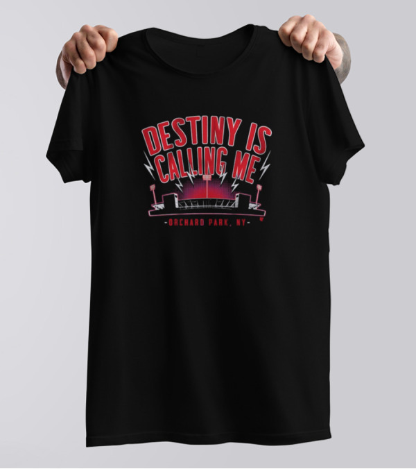 Buffalo Bills Football NFL Destiny Is Calling Me Orchard Park NY T-Shirt