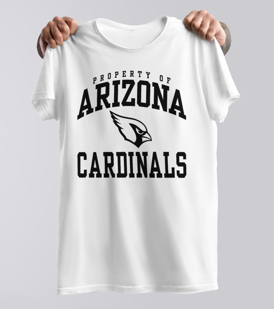 Property Of Arizona Cardinals NFL Team T-Shirt