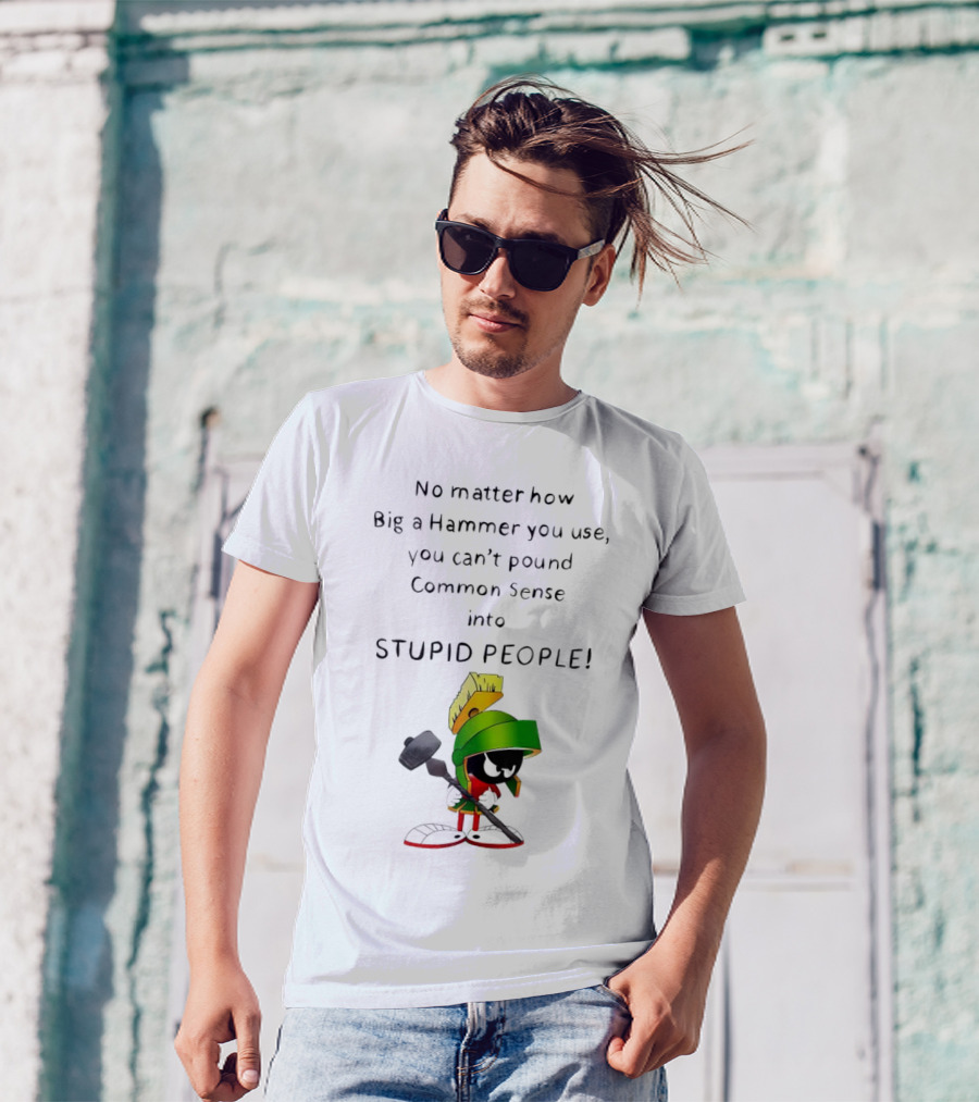 No Matter How Big A Hammer You Use, You Can't Pound Common Sense Into Stupid People T-Shirt