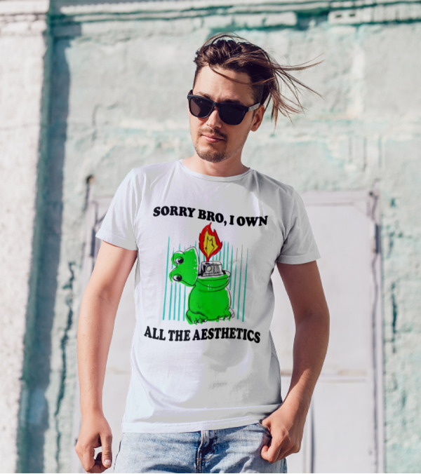 Sorry Bro I Own All The Aesthetics Melting Frog Lighter Flame T-Shirt