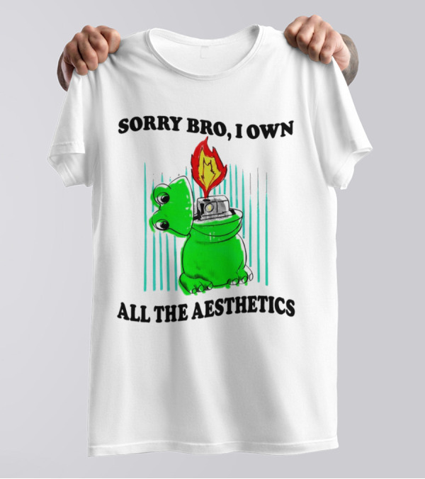 Sorry Bro I Own All The Aesthetics Melting Frog Lighter Flame T-Shirt