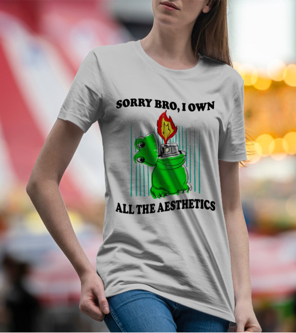 Sorry Bro I Own All The Aesthetics Melting Frog Lighter Flame T-Shirt
