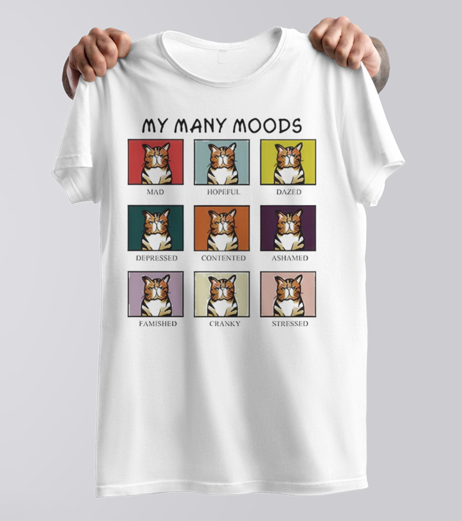 My Many Moods Mad Hopeful Dazed Depressed Contented Ashamed Famished Cranky Stressed T-Shirt