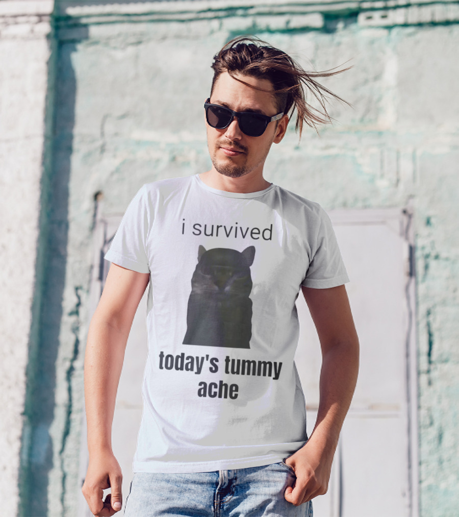 I Survived Today's Tummy Ache Cat Image T-Shirt