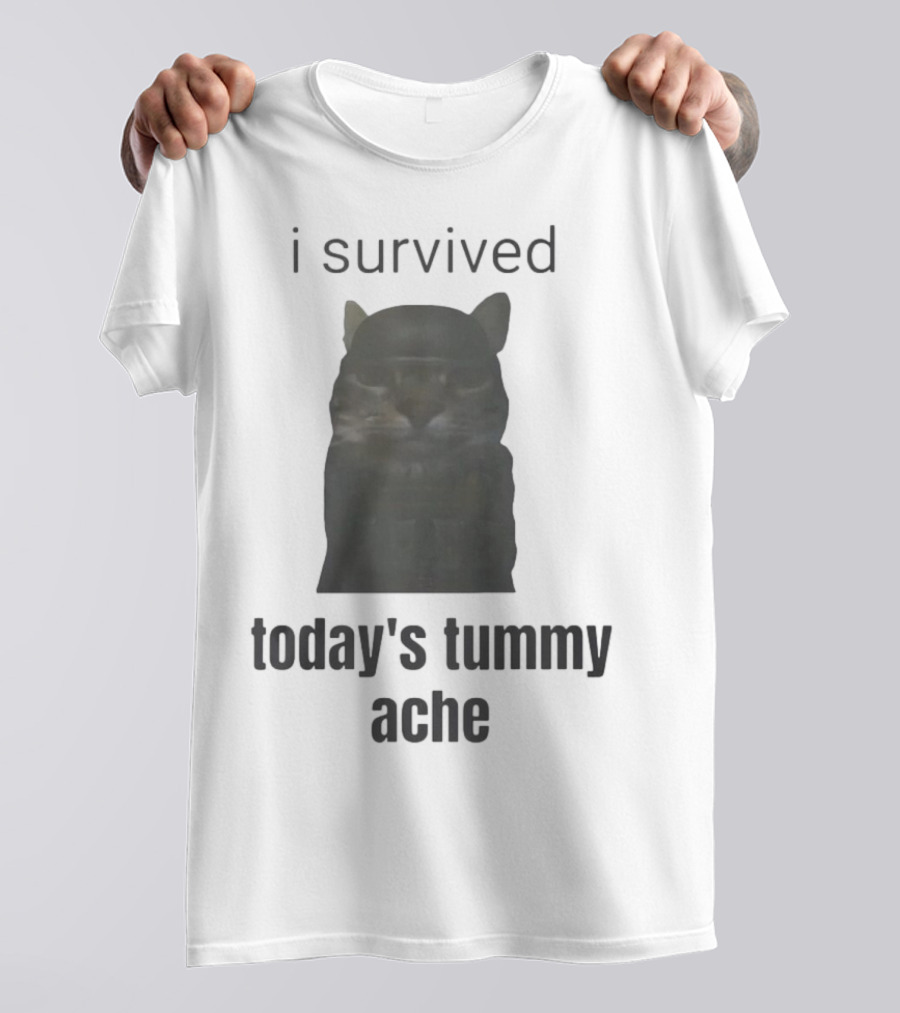 I Survived Today's Tummy Ache Cat Image T-Shirt