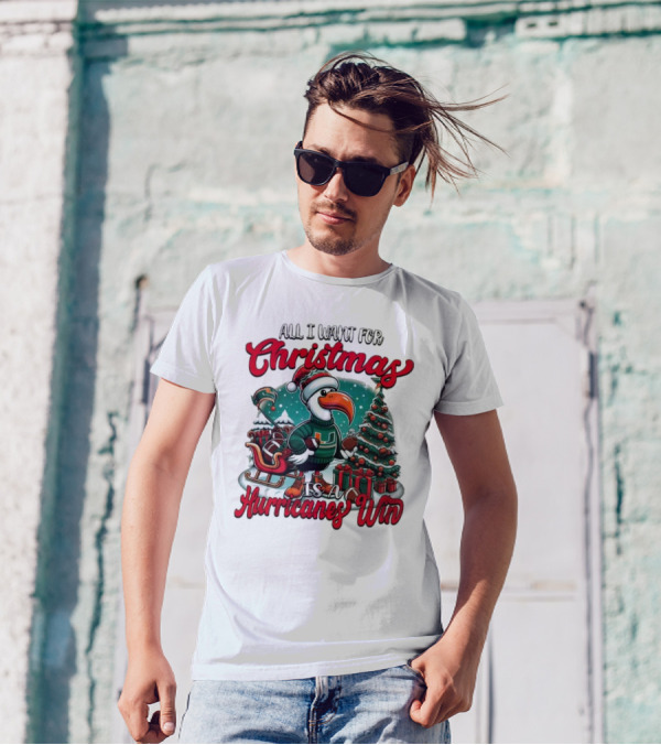 All I Want For Christmas Is A Hurricanes Win Santa Birdfest T-Shirt
