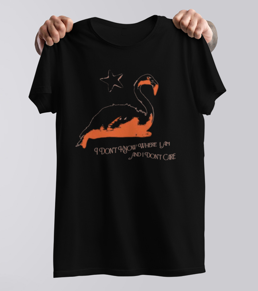 Flamingo I Don’t Know Where I Am And I Don’t Care With Star T-Shirt