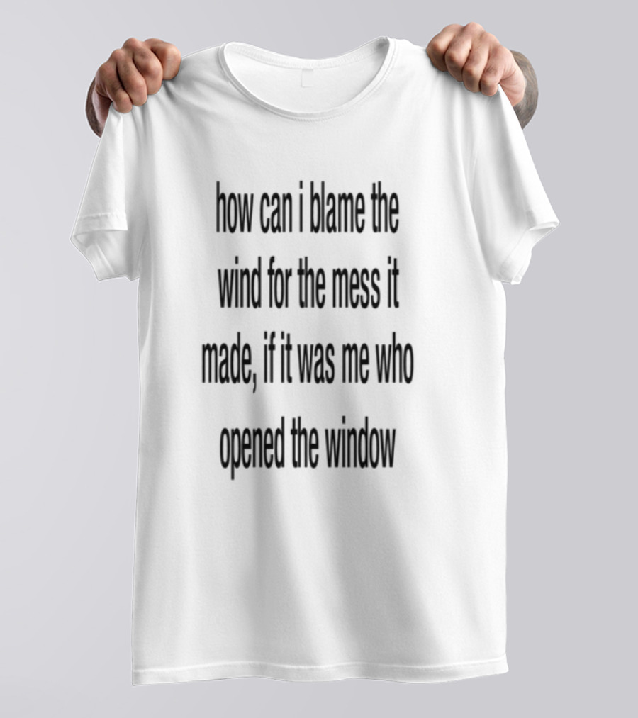 How Can I Blame The Wind For The Mess It Made These Never Needed To Begin With T-Shirt