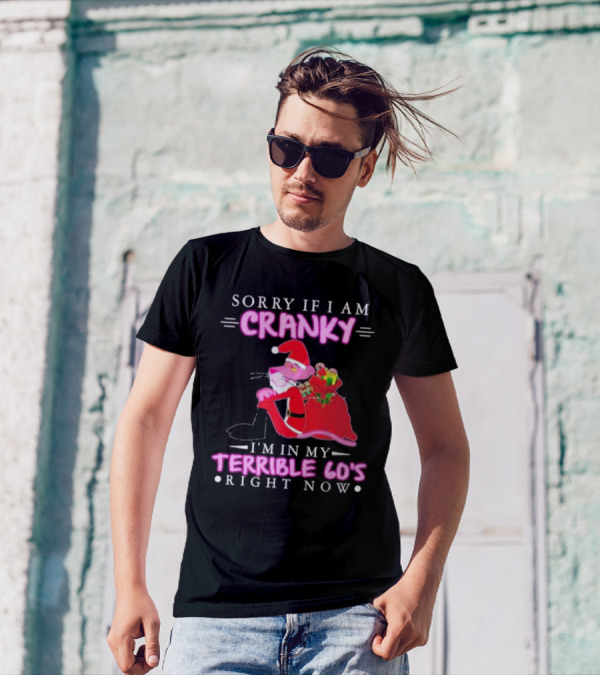 Sorry If I Am Cranky Pink Panther Santa I'm In My Terrible 60's Right Now T-Shirt