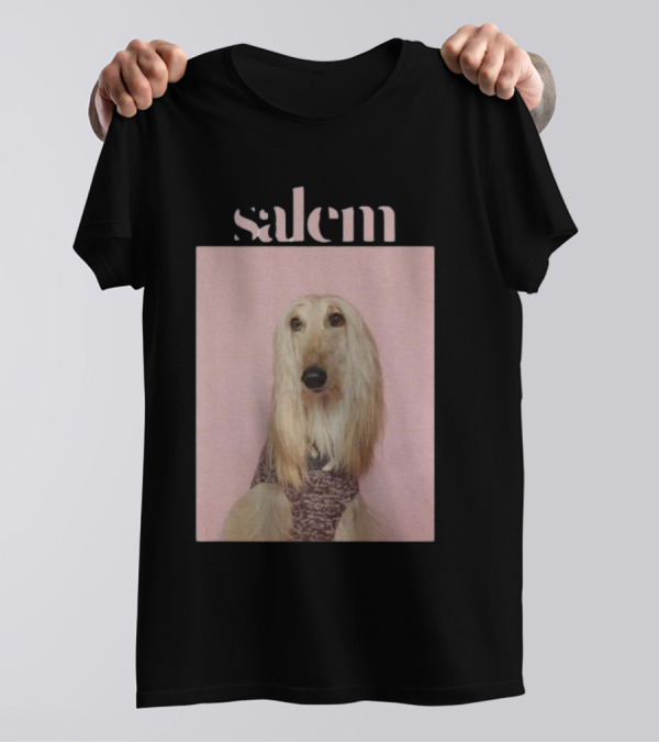 Salem Ilese Dog Afghan Hound Portrait On Pink Background T-Shirt