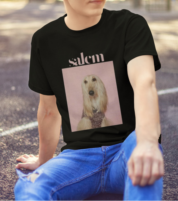 Salem Ilese Dog Afghan Hound Portrait On Pink Background T-Shirt