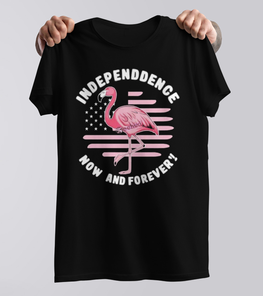 Independence Now And Forever Flamingo America Flag T-Shirt