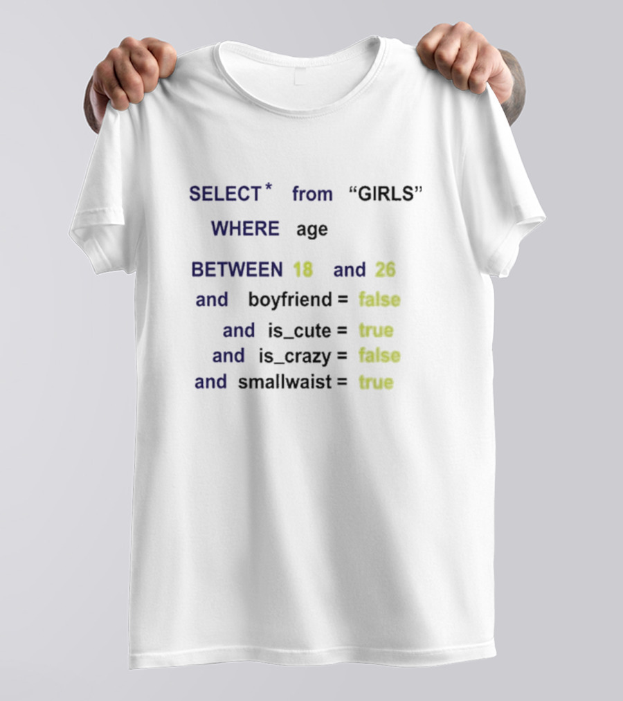 Funny SQL Query Select From GIRLS Where Age Between 18 And 26 Boyfriend False Is Cute True Is Crazy False Smallwaist True T-Shirt