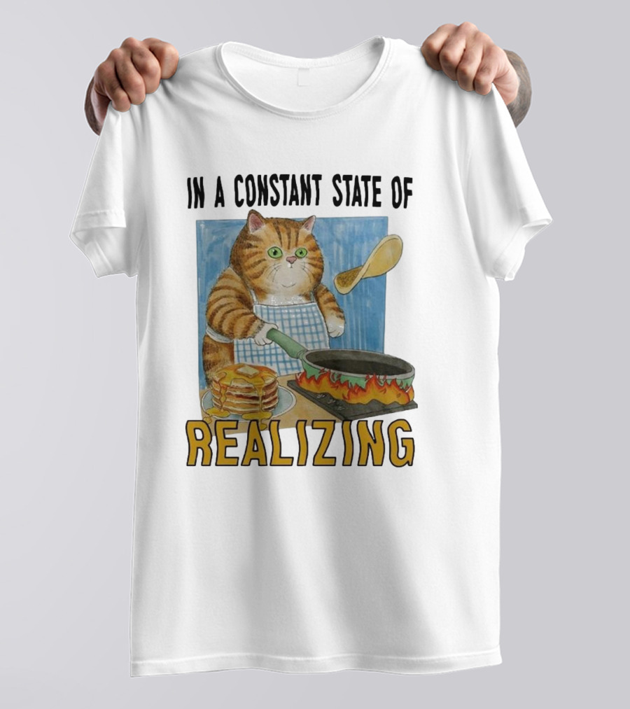 In A Constant State Of Realizing Cat Cooking Pancakes Flame Pan T-Shirt