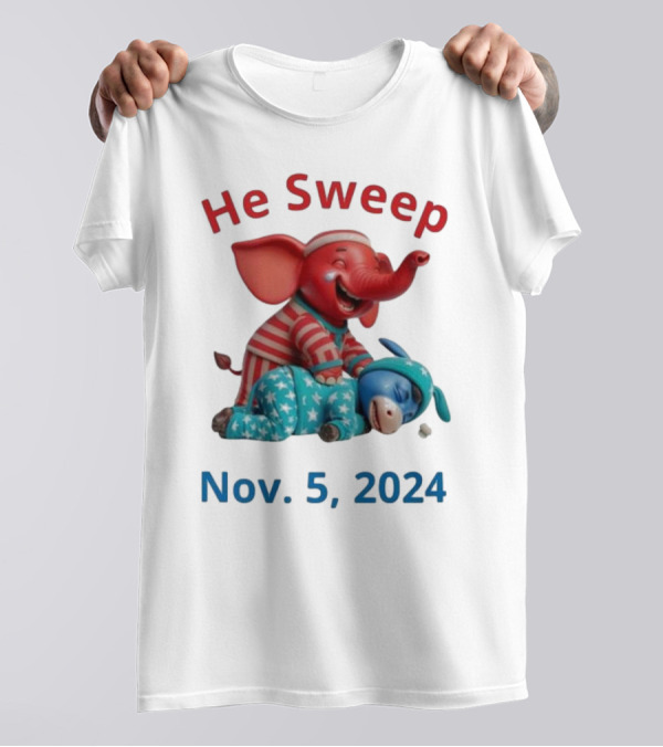 He Sweep Nov 5 2024 Vote Republican Vote Felon T-Shirt