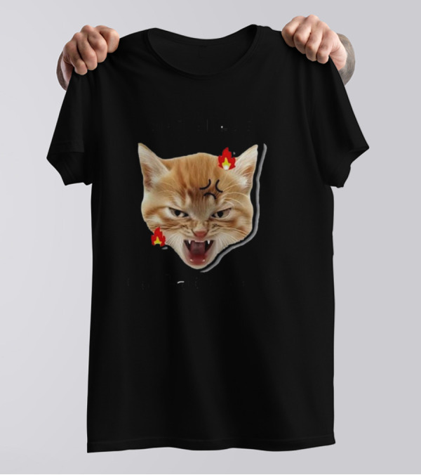 Childless Angry Cat Lady Voter Flame Emoji T-Shirt