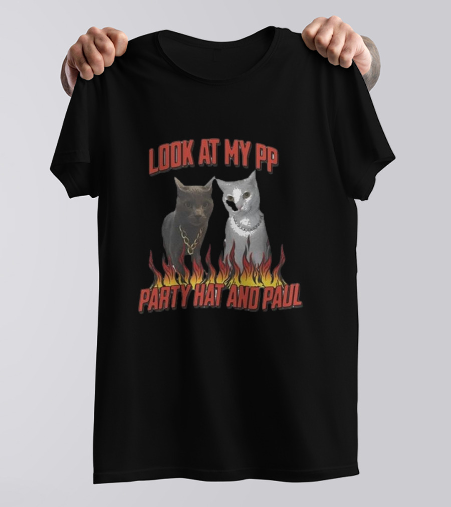 Look At My Pp Party Hat And Paul Cats With Flames T-Shirt