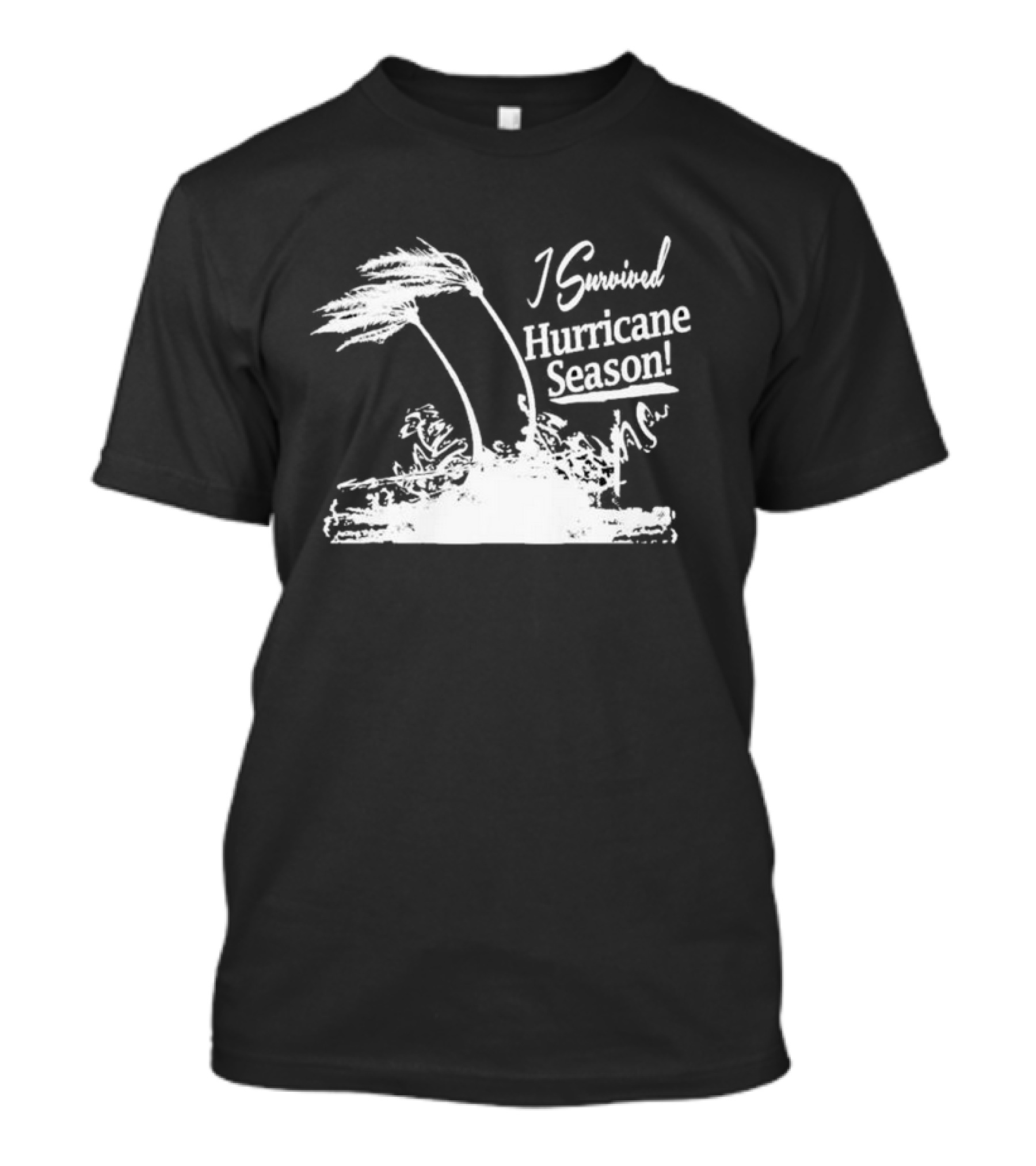 I Survived Hurricane Season Helene Palm Trees Wind T-Shirt