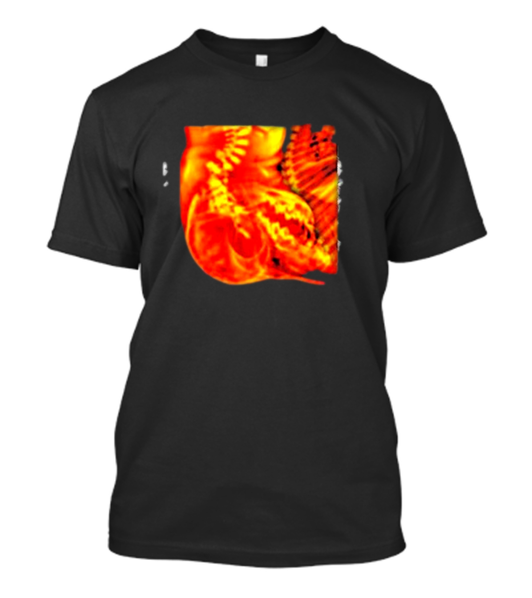 Final Resting Place Ridden Of Impurities Limited Fiery Skull T-Shirt