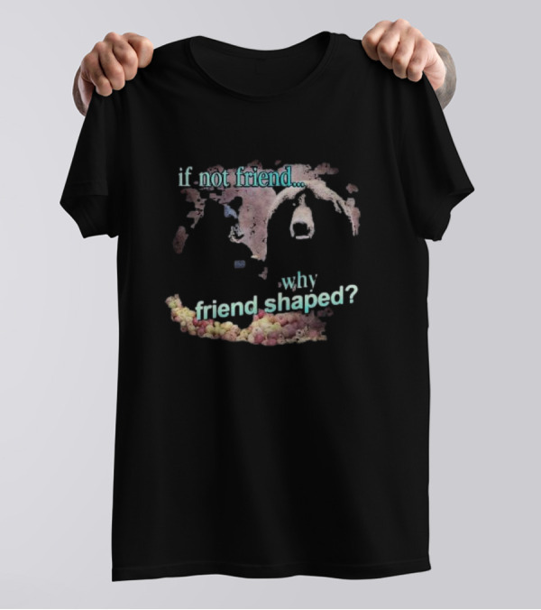 If Not Friend Why Friend Shaped Bear T-Shirt