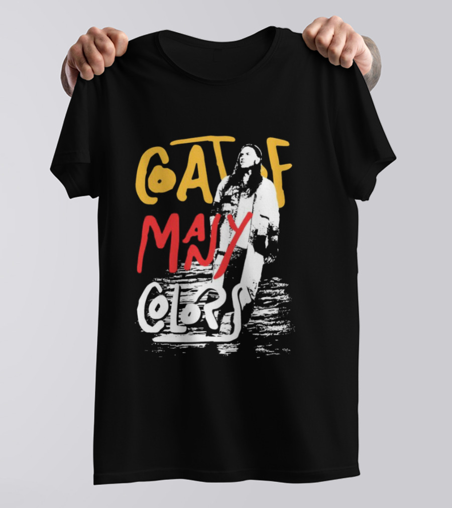 Brandon Lake Coat Of Many Colors T-Shirt