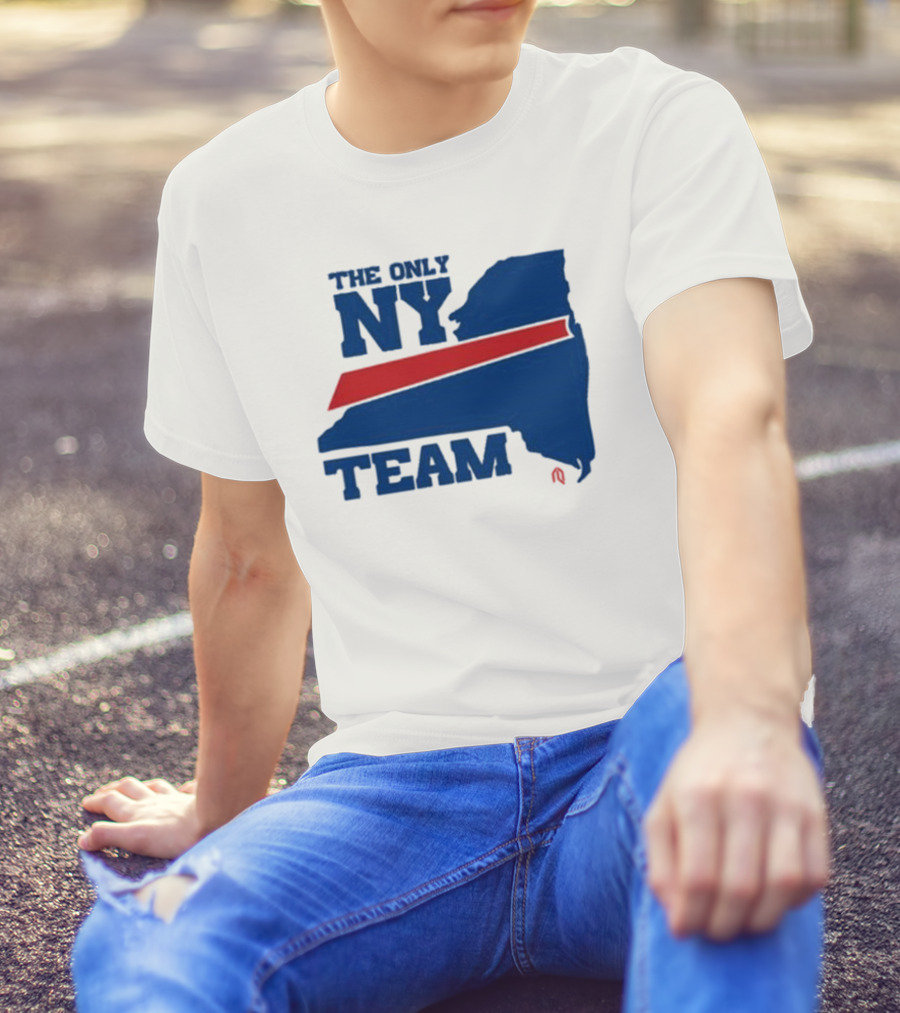 The Only NY Team New York State Silhouette Red Stripe T-Shirt