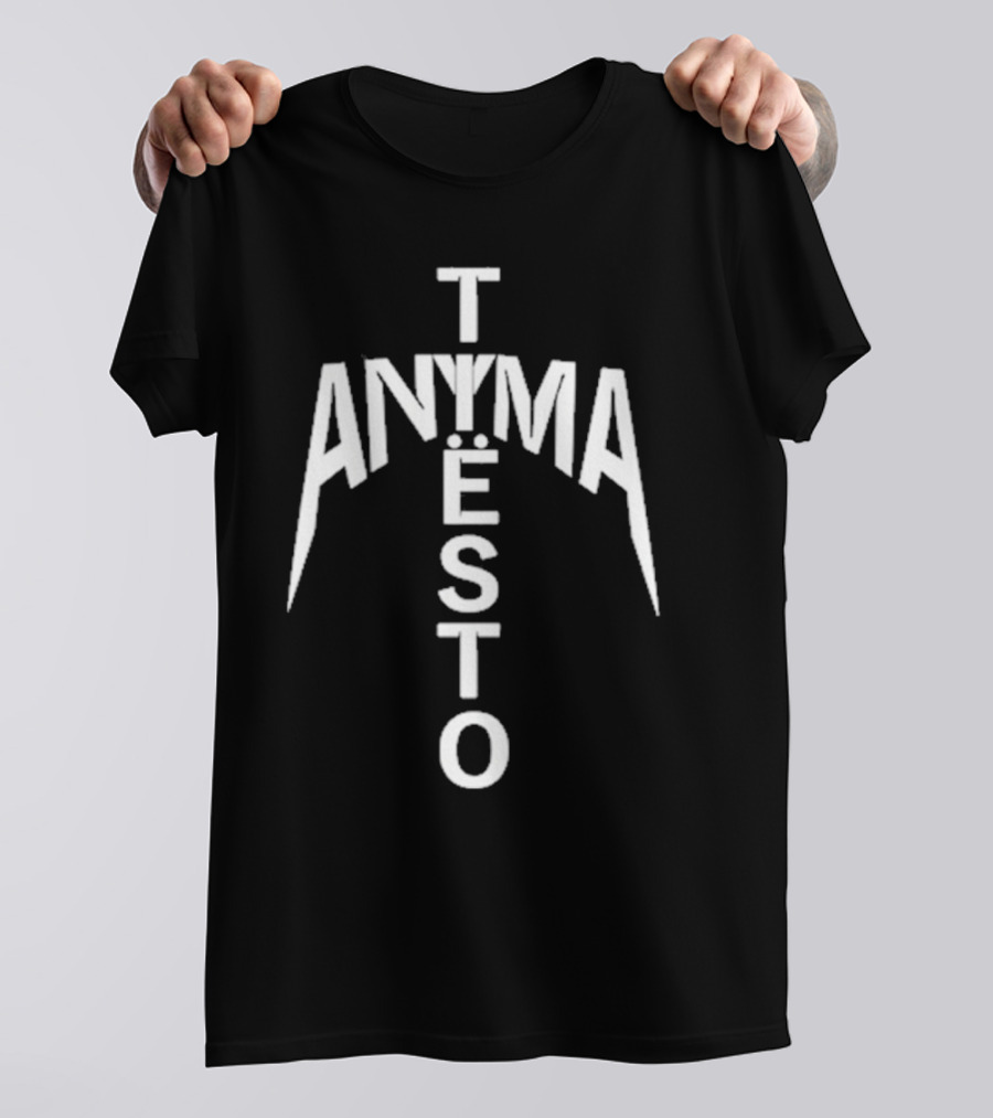 We Rave You Anyma Tiësto Typography Style T-Shirt