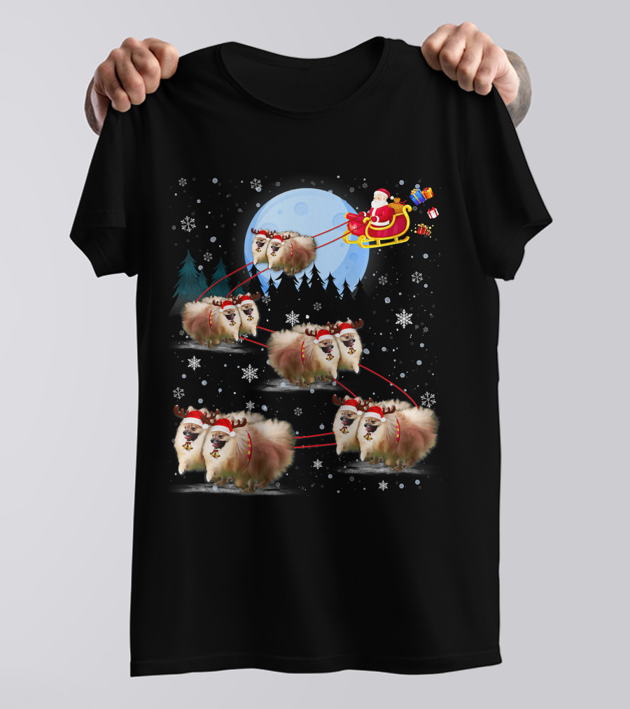 Pomeranian Reindeer Santa Sleigh Christmas Under Moonlight T-Shirt