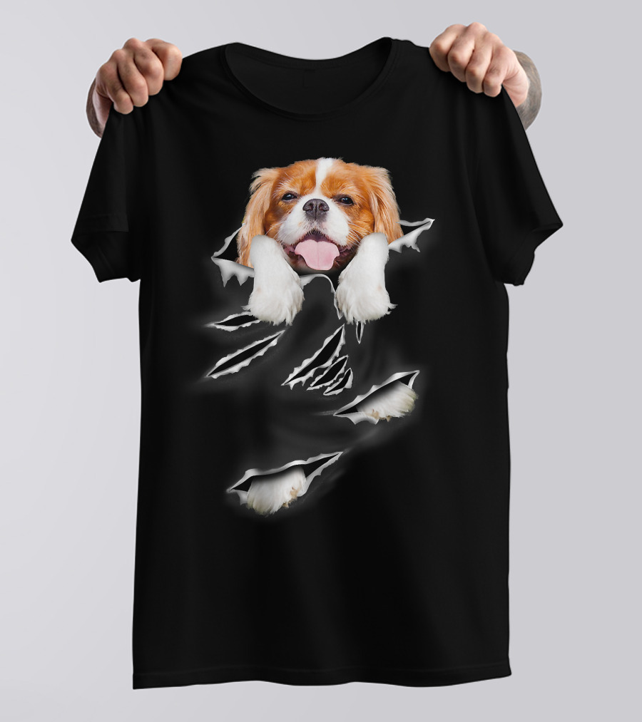 Cavalier King Charles Spaniel Scratch Torn Paws And Face Peeking Through T-Shirt