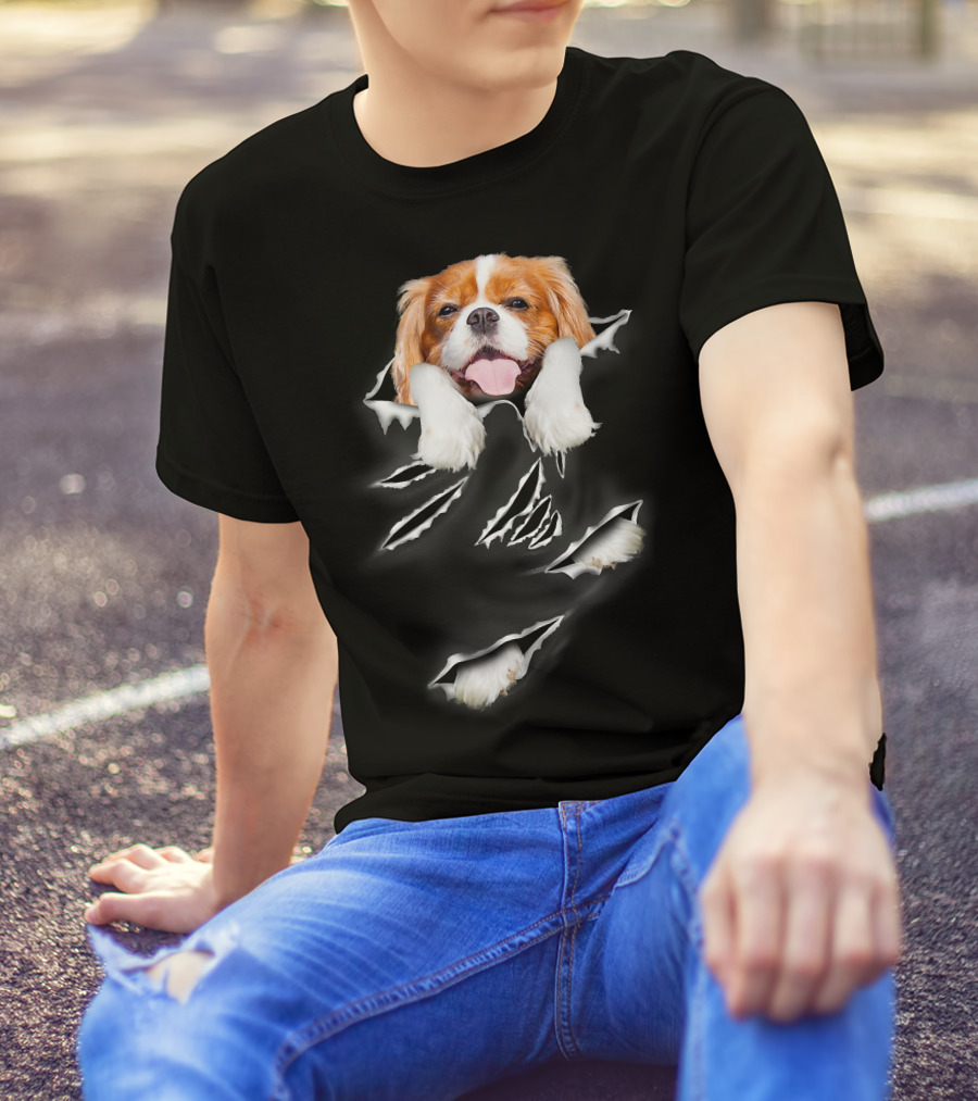 Cavalier King Charles Spaniel Scratch Torn Paws And Face Peeking Through T-Shirt