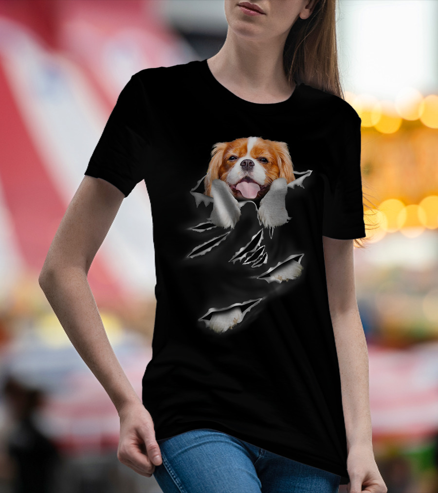 Cavalier King Charles Spaniel Scratch Torn Paws And Face Peeking Through T-Shirt