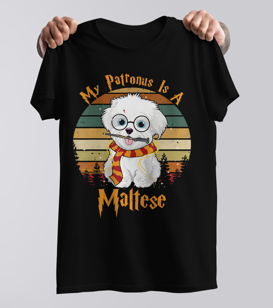 My Patronus Is A Maltese Dog With Wizard Glasses And Scarf In Colorful Circle T-Shirt