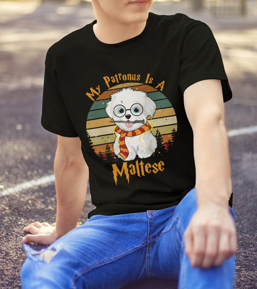 My Patronus Is A Maltese Dog With Wizard Glasses And Scarf In Colorful Circle T-Shirt